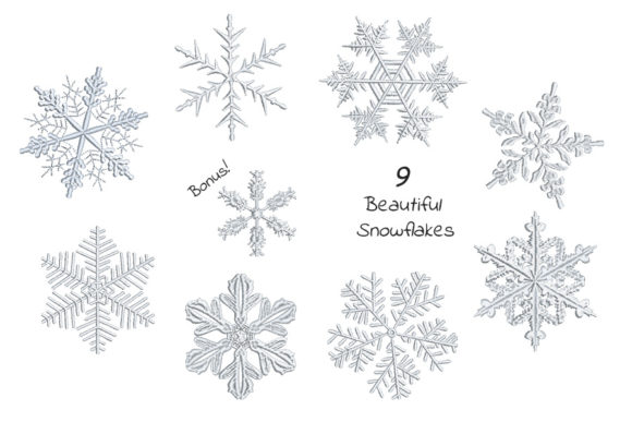 Set of Beautiful Snowflakes: A Designer's Review